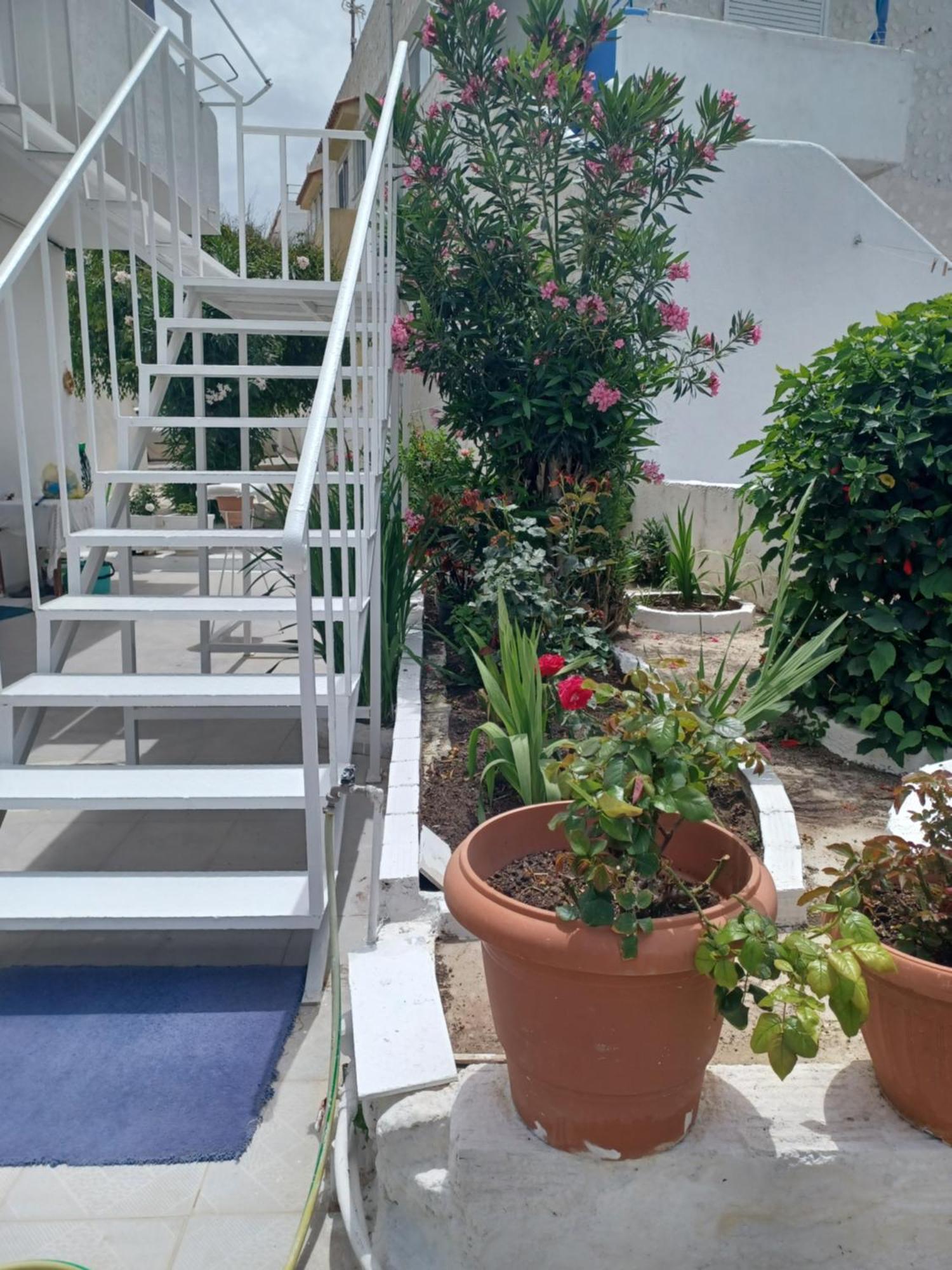 Apartmán Mastichari Nektaria Studio Exteriér fotografie