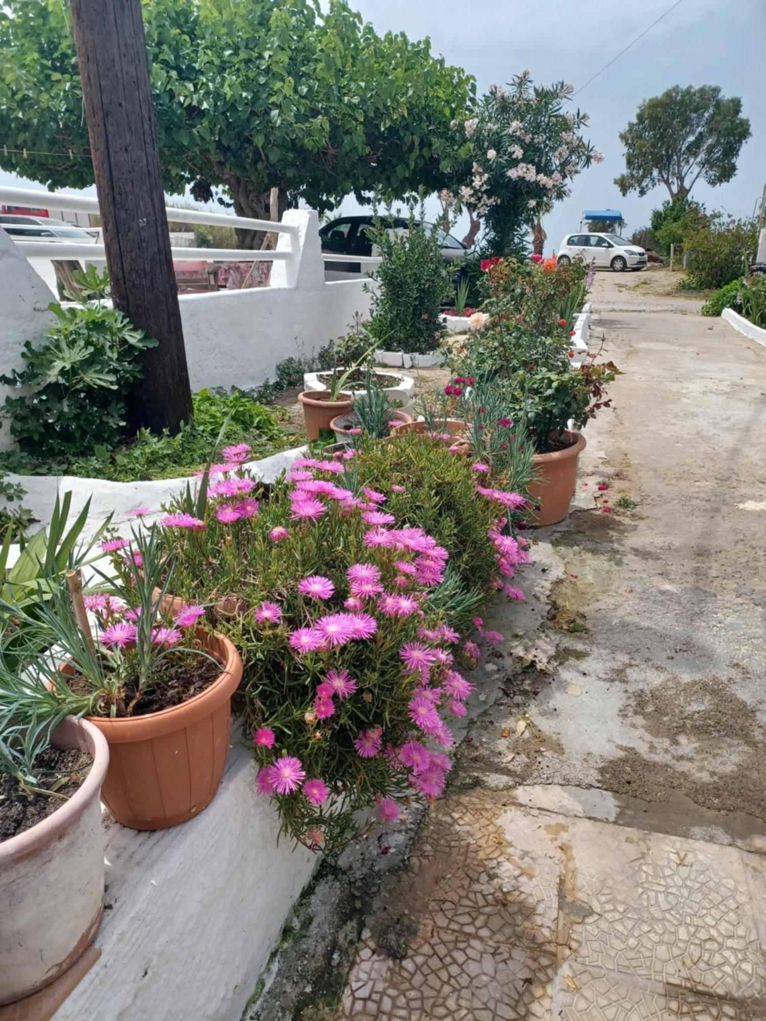Apartmán Mastichari Nektaria Studio Exteriér fotografie